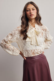 Verity Sheer Lace Tie Neck Blouse in Ivory, photo 4