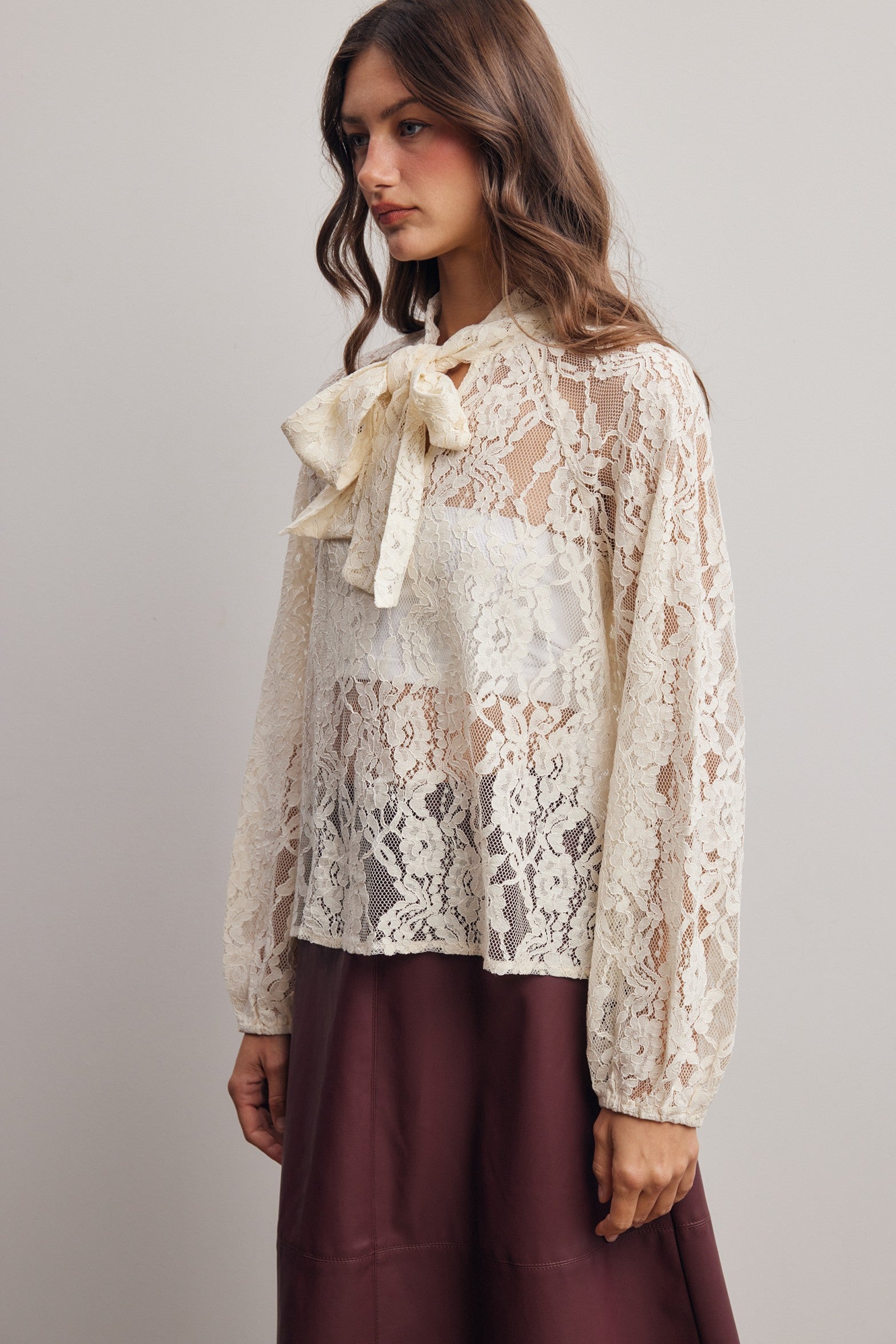 Verity Sheer Lace Tie Neck Blouse in Ivory, photo 5