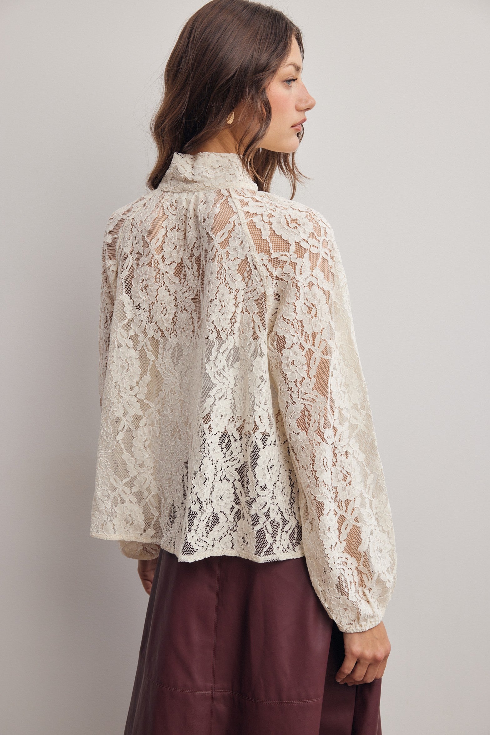 Verity Sheer Lace Tie Neck Blouse in Ivory, photo 8