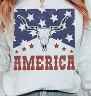 Western America Graphic Sweatshirt - Westly