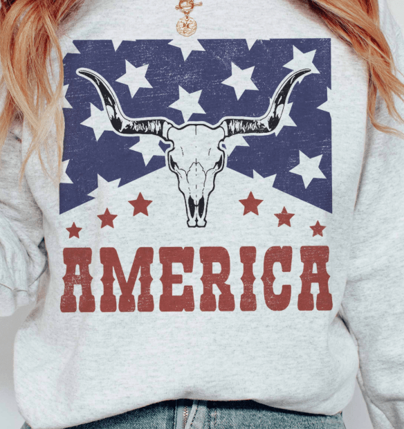 Western America Graphic Sweatshirt - Westly