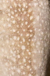 Wildcat Animal Print Pants in Tan Animal - product photo 8